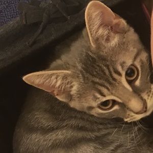 Meet your Posher, Eva